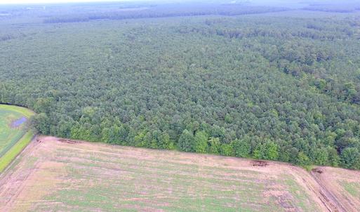 Photo of UNDER CONTRACT!  53 Acres of Hunting and Timber Land  For Sale in Suffolk VA!