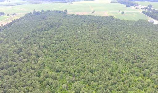 Photo of UNDER CONTRACT!  53 Acres of Hunting and Timber Land  For Sale in Suffolk VA!