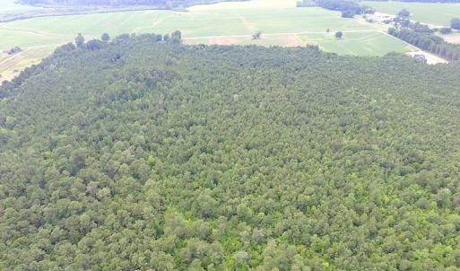 Photo of UNDER CONTRACT!  53 Acres of Hunting and Timber Land  For Sale in Suffolk VA!