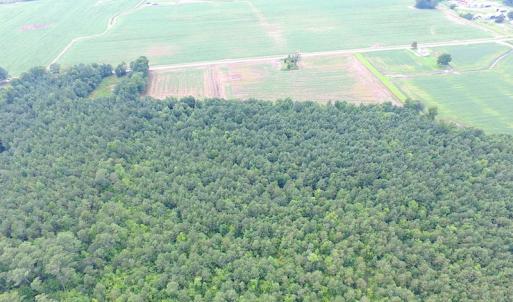 Photo of UNDER CONTRACT!  53 Acres of Hunting and Timber Land  For Sale in Suffolk VA!