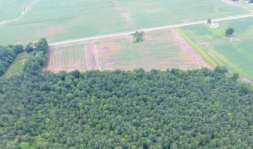 Photo of UNDER CONTRACT!  53 Acres of Hunting and Timber Land  For Sale in Suffolk VA!