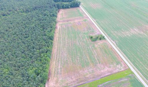 Photo of UNDER CONTRACT!  53 Acres of Hunting and Timber Land  For Sale in Suffolk VA!