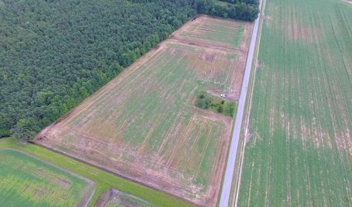 Photo of UNDER CONTRACT!  53 Acres of Hunting and Timber Land  For Sale in Suffolk VA!