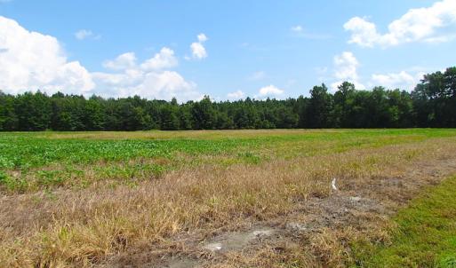 Photo of UNDER CONTRACT!  53 Acres of Hunting and Timber Land  For Sale in Suffolk VA!