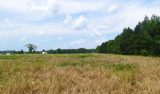 Photo of UNDER CONTRACT!  53 Acres of Hunting and Timber Land  For Sale in Suffolk VA!