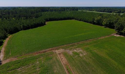 Photo of UNDER CONTRACT!  61.43 Acres of Farm and Timber Land For Sale in Wilson County NC!