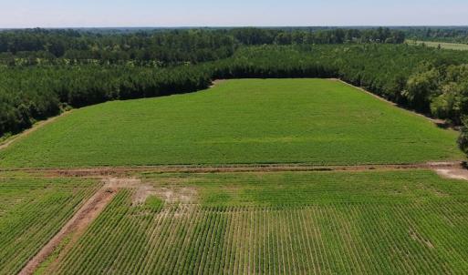 Photo of UNDER CONTRACT!  61.43 Acres of Farm and Timber Land For Sale in Wilson County NC!