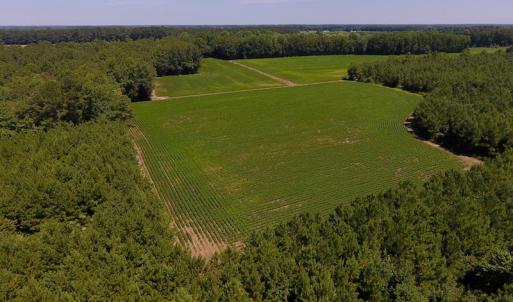 Photo of UNDER CONTRACT!  61.43 Acres of Farm and Timber Land For Sale in Wilson County NC!