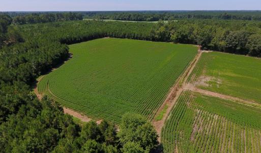 Photo of UNDER CONTRACT!  61.43 Acres of Farm and Timber Land For Sale in Wilson County NC!