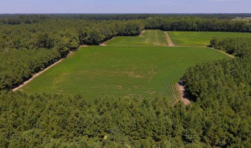 Photo of UNDER CONTRACT!  61.43 Acres of Farm and Timber Land For Sale in Wilson County NC!