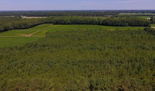Photo of UNDER CONTRACT!  61.43 Acres of Farm and Timber Land For Sale in Wilson County NC!