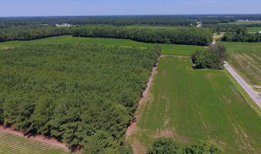 Photo of UNDER CONTRACT!  61.43 Acres of Farm and Timber Land For Sale in Wilson County NC!
