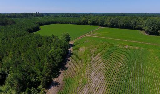 Photo of UNDER CONTRACT!  61.43 Acres of Farm and Timber Land For Sale in Wilson County NC!