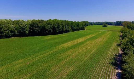 Photo of UNDER CONTRACT!  61.43 Acres of Farm and Timber Land For Sale in Wilson County NC!