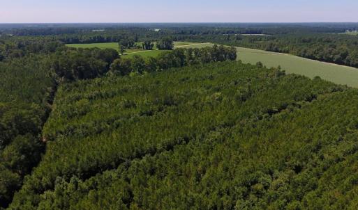 Photo of UNDER CONTRACT!  61.43 Acres of Farm and Timber Land For Sale in Wilson County NC!