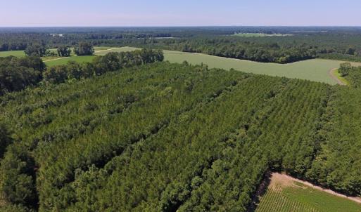 Photo of UNDER CONTRACT!  61.43 Acres of Farm and Timber Land For Sale in Wilson County NC!