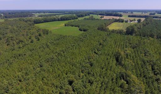 Photo of UNDER CONTRACT!  61.43 Acres of Farm and Timber Land For Sale in Wilson County NC!