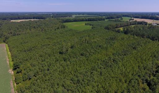 Photo of UNDER CONTRACT!  61.43 Acres of Farm and Timber Land For Sale in Wilson County NC!