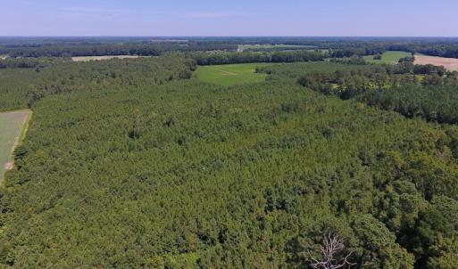 Photo of UNDER CONTRACT!  61.43 Acres of Farm and Timber Land For Sale in Wilson County NC!