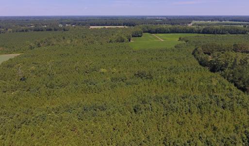 Photo of UNDER CONTRACT!  61.43 Acres of Farm and Timber Land For Sale in Wilson County NC!