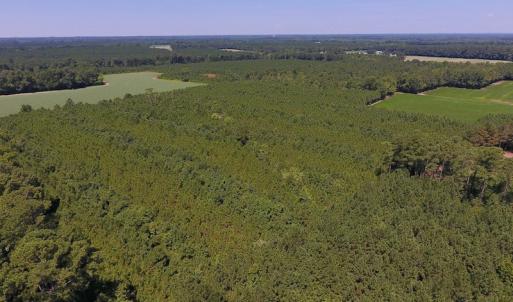 Photo of UNDER CONTRACT!  61.43 Acres of Farm and Timber Land For Sale in Wilson County NC!
