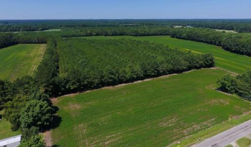 Photo of UNDER CONTRACT!  61.43 Acres of Farm and Timber Land For Sale in Wilson County NC!