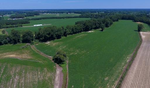 Photo of UNDER CONTRACT!  61.43 Acres of Farm and Timber Land For Sale in Wilson County NC!