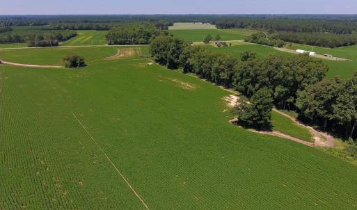 Photo of UNDER CONTRACT!  61.43 Acres of Farm and Timber Land For Sale in Wilson County NC!