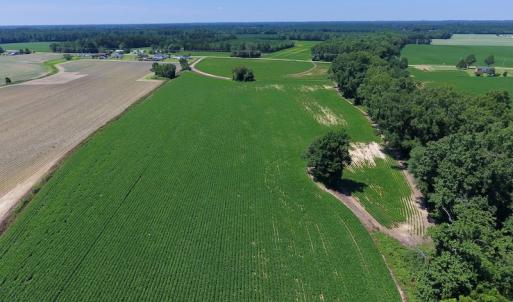 Photo of UNDER CONTRACT!  61.43 Acres of Farm and Timber Land For Sale in Wilson County NC!