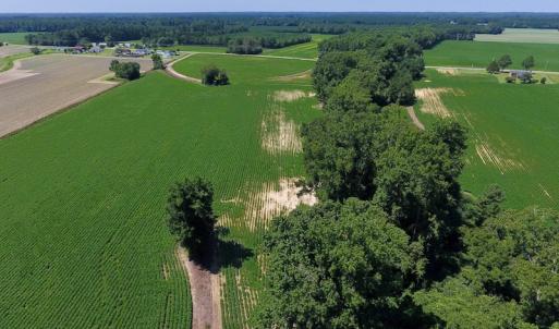 Photo of UNDER CONTRACT!  61.43 Acres of Farm and Timber Land For Sale in Wilson County NC!