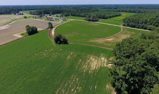 Photo of UNDER CONTRACT!  61.43 Acres of Farm and Timber Land For Sale in Wilson County NC!