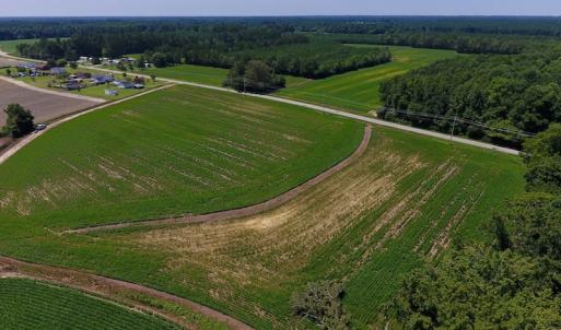 Photo of UNDER CONTRACT!  61.43 Acres of Farm and Timber Land For Sale in Wilson County NC!