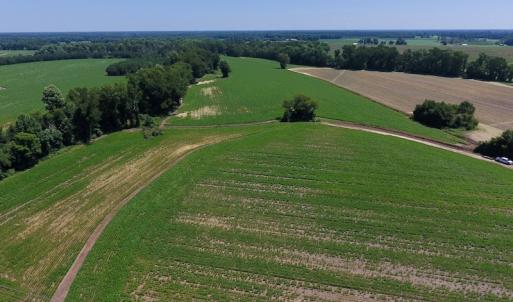 Photo of UNDER CONTRACT!  61.43 Acres of Farm and Timber Land For Sale in Wilson County NC!
