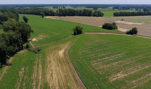 Photo of UNDER CONTRACT!  61.43 Acres of Farm and Timber Land For Sale in Wilson County NC!