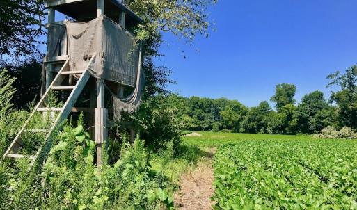Photo of UNDER CONTRACT!  61.43 Acres of Farm and Timber Land For Sale in Wilson County NC!