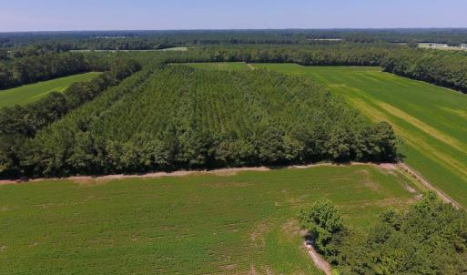 Photo of UNDER CONTRACT!  61.43 Acres of Farm and Timber Land For Sale in Wilson County NC!