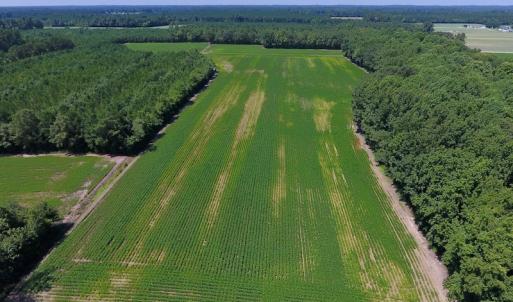 Photo of UNDER CONTRACT!  61.43 Acres of Farm and Timber Land For Sale in Wilson County NC!