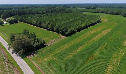 Photo of UNDER CONTRACT!  61.43 Acres of Farm and Timber Land For Sale in Wilson County NC!