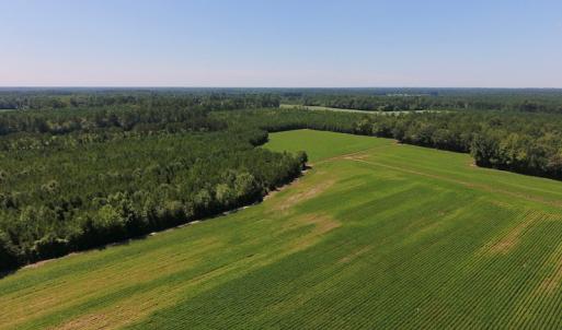 Photo of UNDER CONTRACT!  61.43 Acres of Farm and Timber Land For Sale in Wilson County NC!