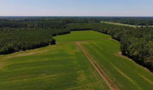 Photo of UNDER CONTRACT!  61.43 Acres of Farm and Timber Land For Sale in Wilson County NC!