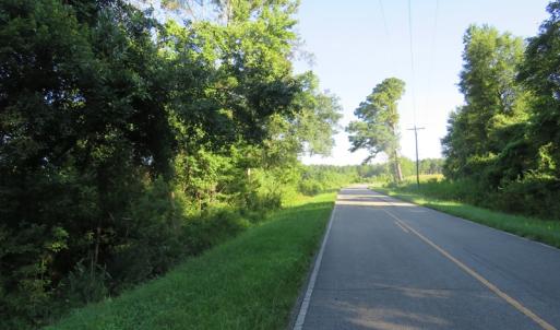 Photo of UNDER CONTRACT!  27.72 Acres of Timber and Hunting Land for Sale in Pender County NC!