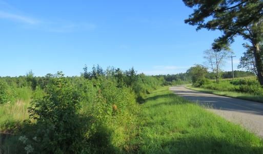 Photo of UNDER CONTRACT!  27.72 Acres of Timber and Hunting Land for Sale in Pender County NC!