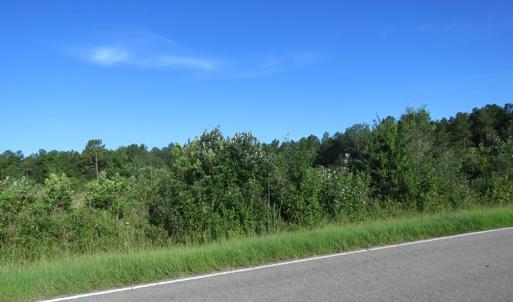 Photo of UNDER CONTRACT!  27.72 Acres of Timber and Hunting Land for Sale in Pender County NC!