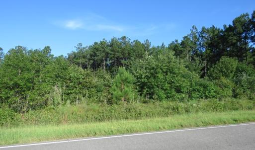 Photo of UNDER CONTRACT!  27.72 Acres of Timber and Hunting Land for Sale in Pender County NC!