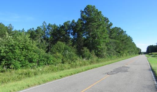 Photo of UNDER CONTRACT!  27.72 Acres of Timber and Hunting Land for Sale in Pender County NC!