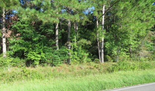 Photo of UNDER CONTRACT!  27.72 Acres of Timber and Hunting Land for Sale in Pender County NC!
