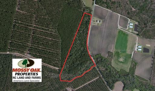 Photo of UNDER CONTRACT!  27.72 Acres of Timber and Hunting Land for Sale in Pender County NC!