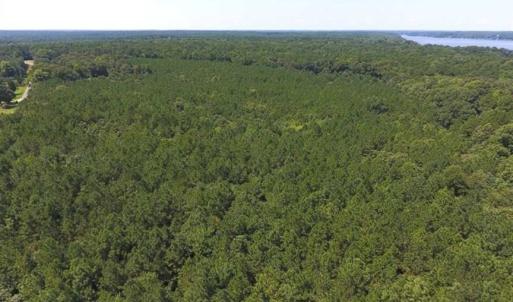 Photo of SOLD!!  11.63 Acres of Recreational Land For Sale in Warren County NC!