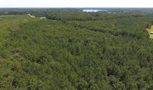 Photo of SOLD!!  11.63 Acres of Recreational Land For Sale in Warren County NC!