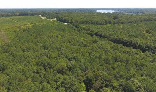 Photo of SOLD!!  11.63 Acres of Recreational Land For Sale in Warren County NC!
